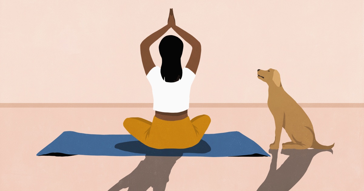 Animal Flow: een speelse uitdaging ⋆ Yoga Online