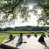 Yoga agenda 2024: beleef het voorjaar