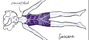 Savasana: yoga’s belangrijkste houding